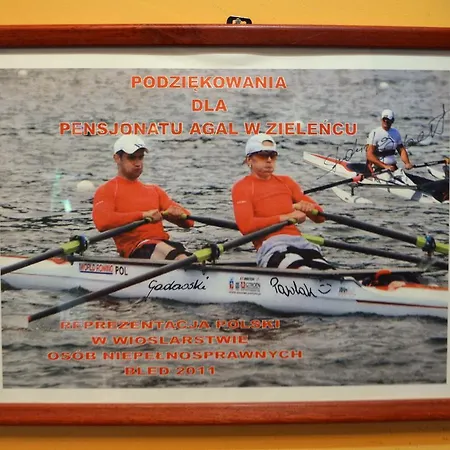 Agal Zieleniec منتجع